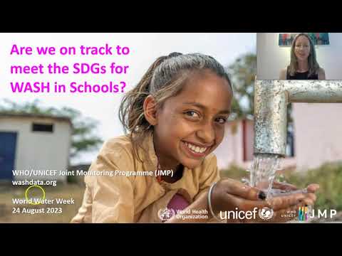 SWWW: Side-talks and Bus Rides - (1 of 3) Are we on track to meet the SDGs for WinS?